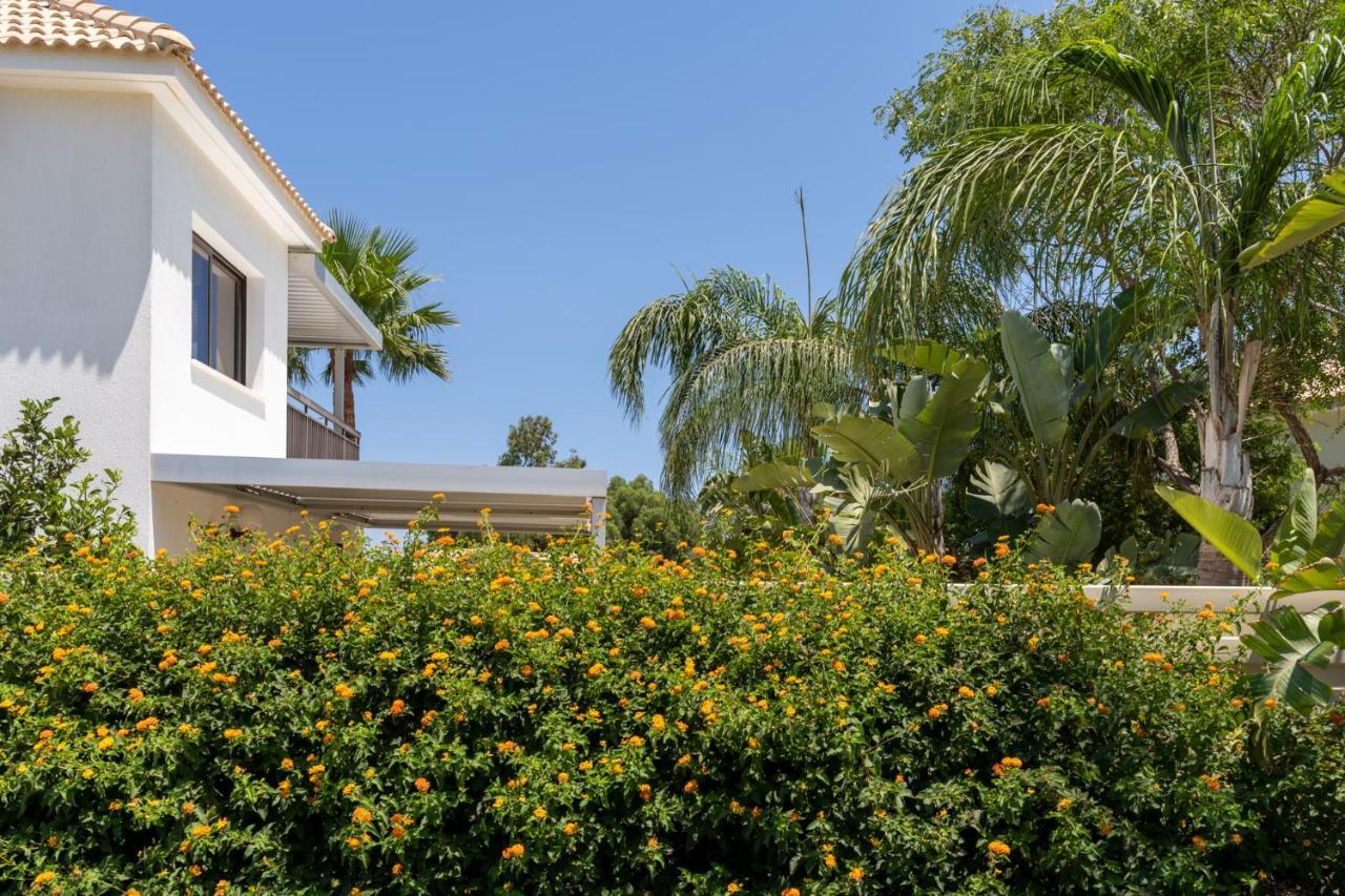 Lime 3-Bedroom Villa In Protarász Kültér fotó